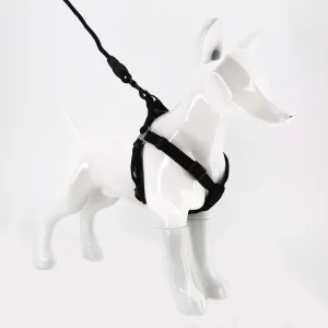 2gather Harness and Lead with Sponge Handle (Black)