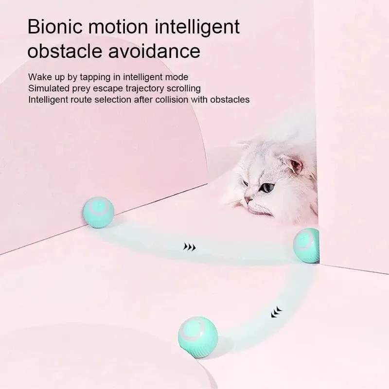 360° Cat Toy Ball