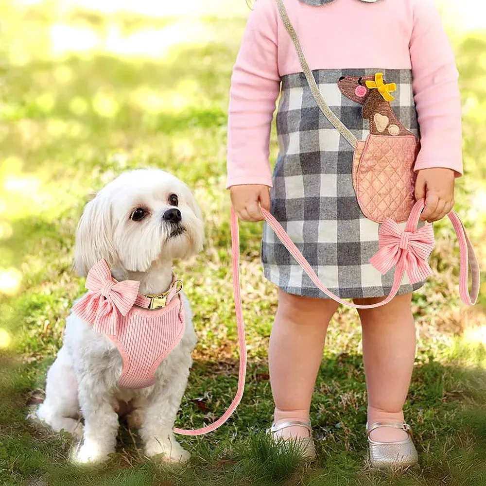 Adjustable Bowknot Dog Collar and Harness Set with Matching Leash