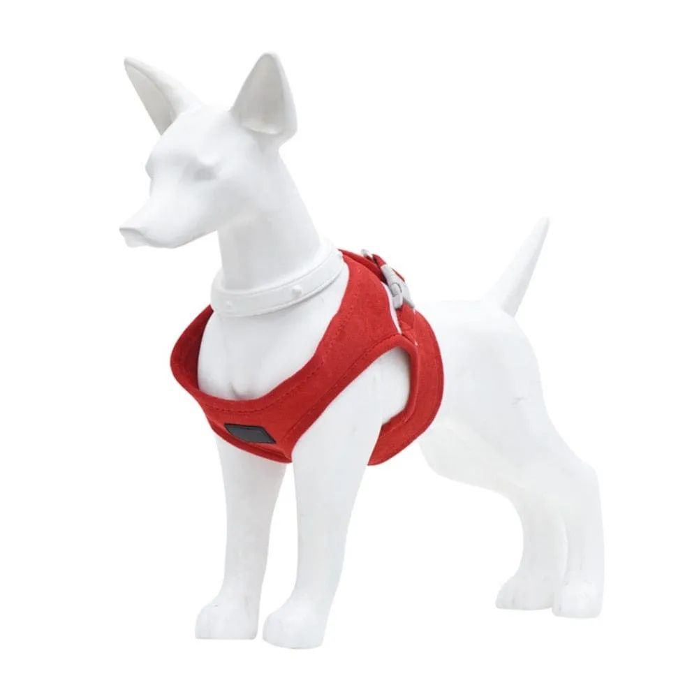 Adjustable Padded Pet Harness And Leash Set