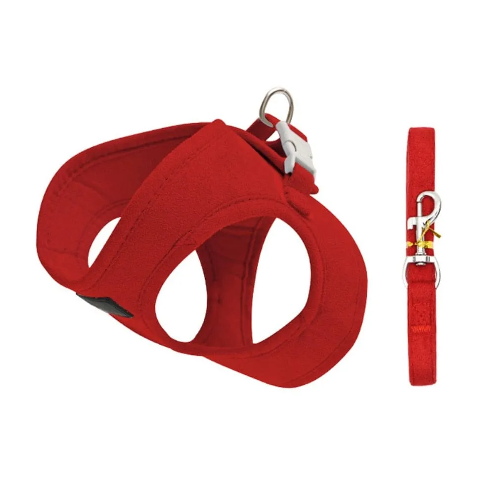 Adjustable Padded Pet Harness And Leash Set