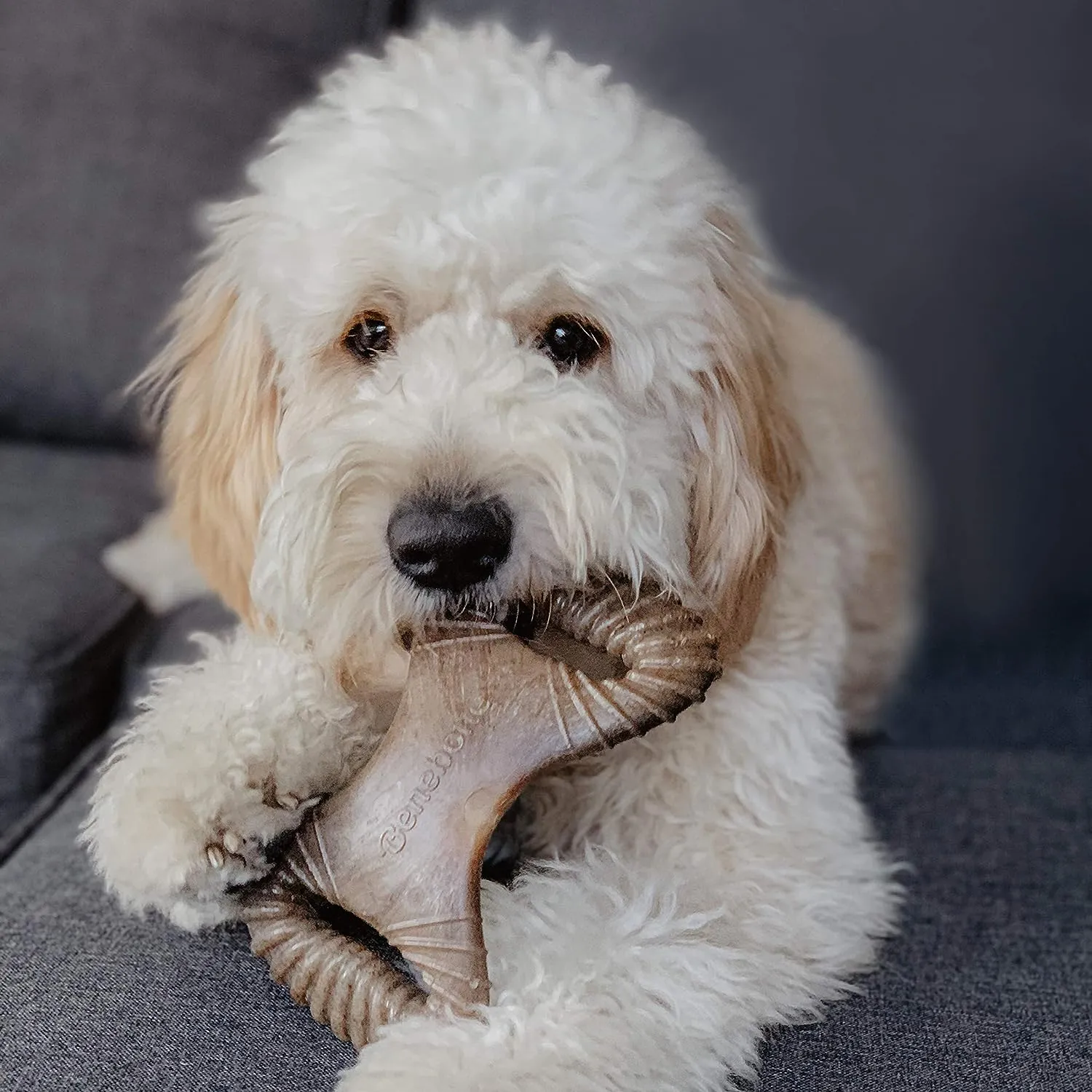 Benebone Dental Chew Bacon Flavor Dog Chew Toy