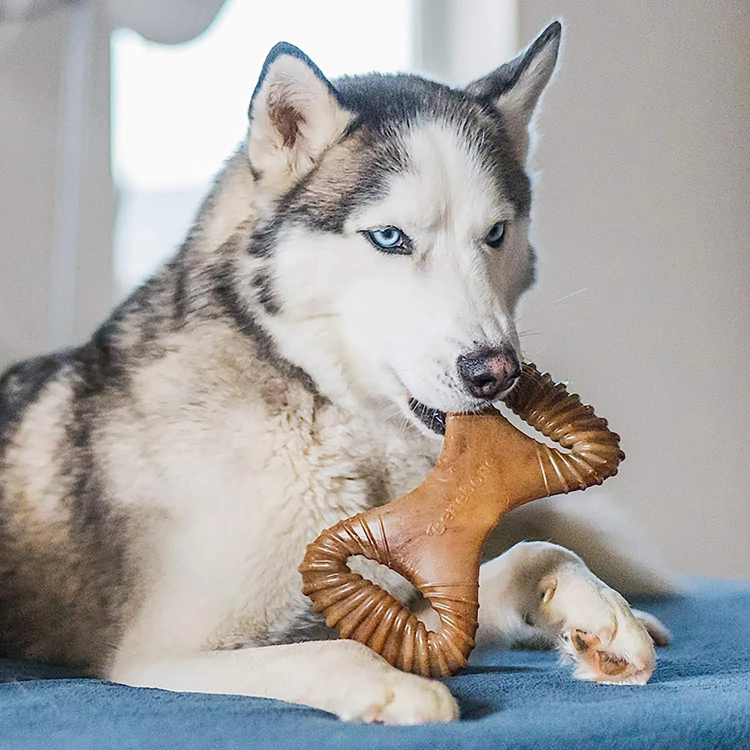 Benebone Dental Chew Bacon Flavor Dog Chew Toy