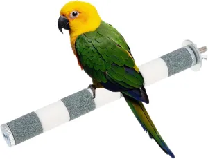 Bird Perch Rough-surfaced Nature Wood Stand Toy Branch for Parrots to Keep Nails and Beaks in Top Condition - Safe Easy to Install Bird Cage Accessories. 8 inch (Gray)