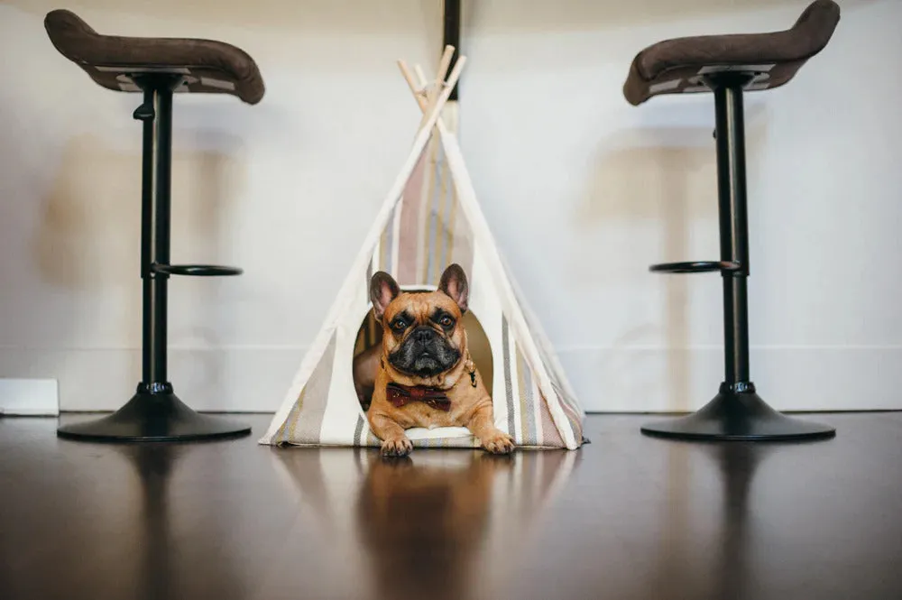 Canvas Horizon Dog Teepee - 4 Color Options