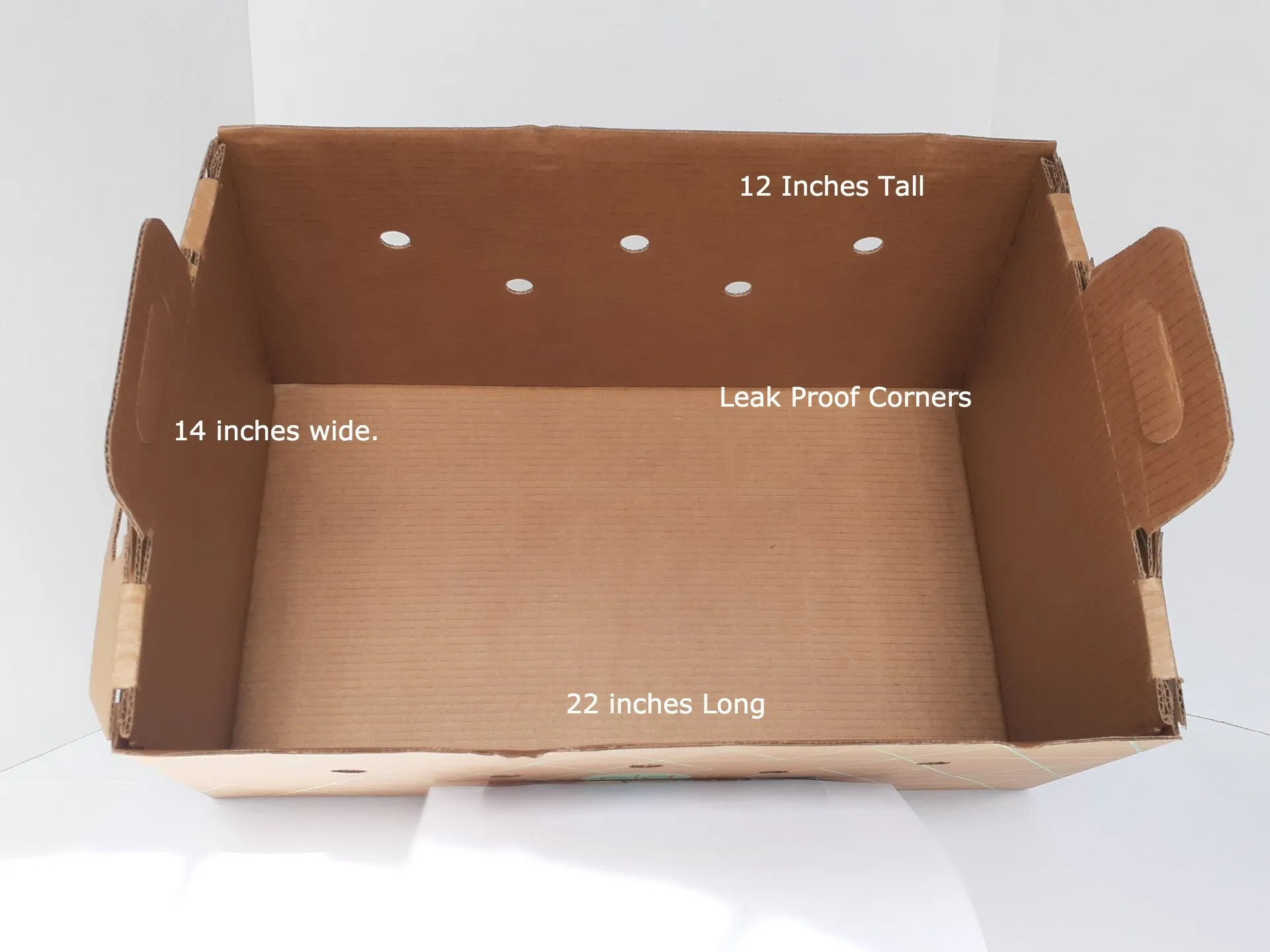 Cats Desire Disposable Pet Carrier