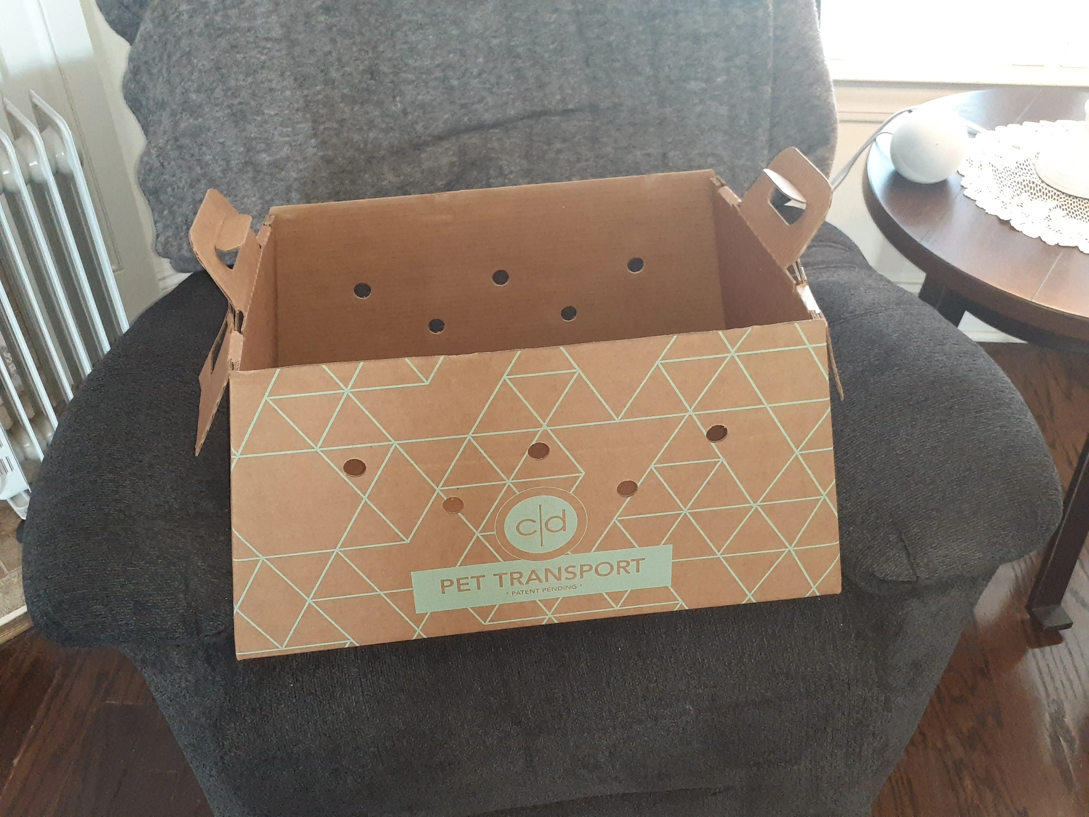 Cats Desire Disposable Pet Carrier