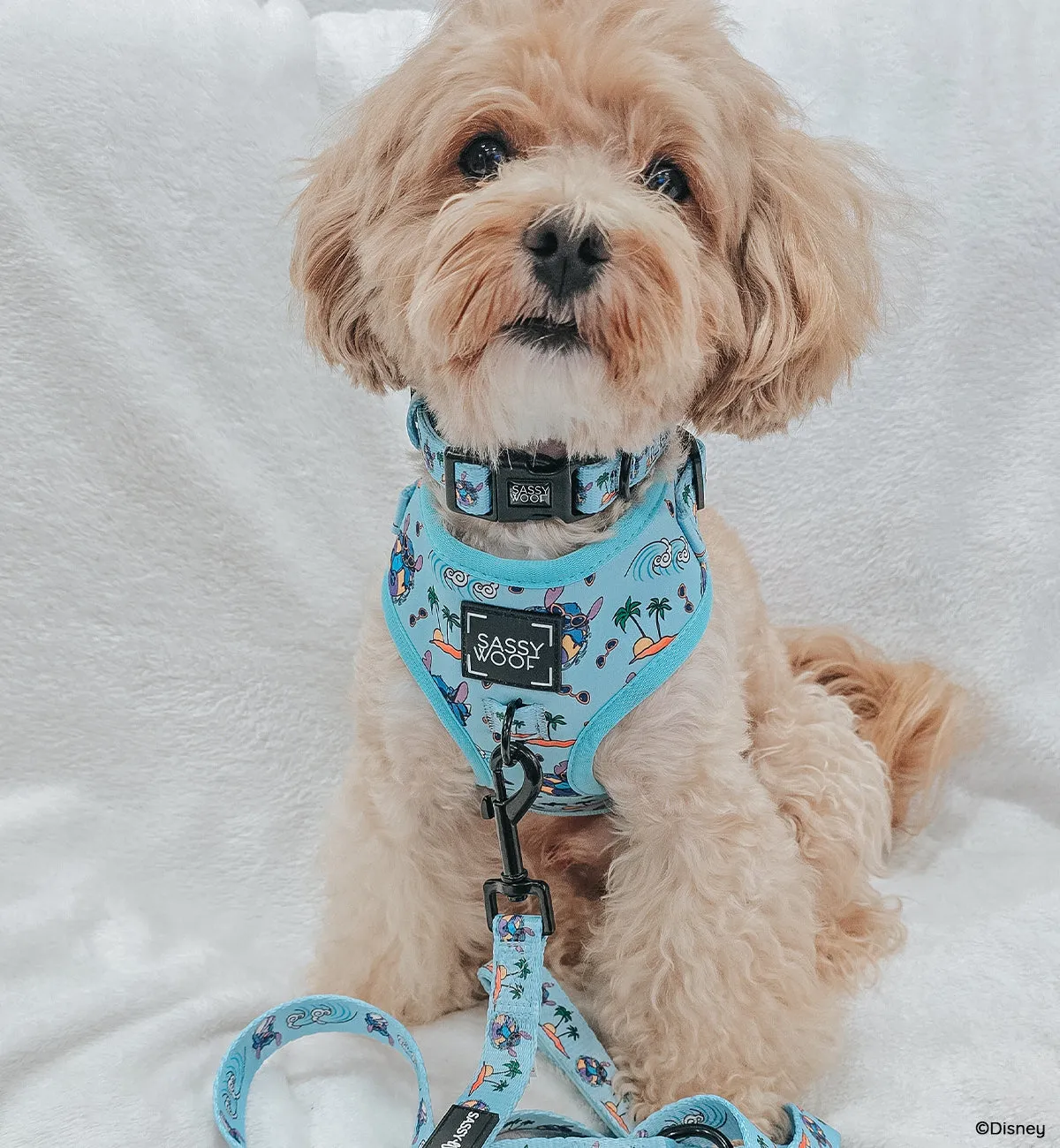 Dog Two Piece Bundle -  Disney's Stitch