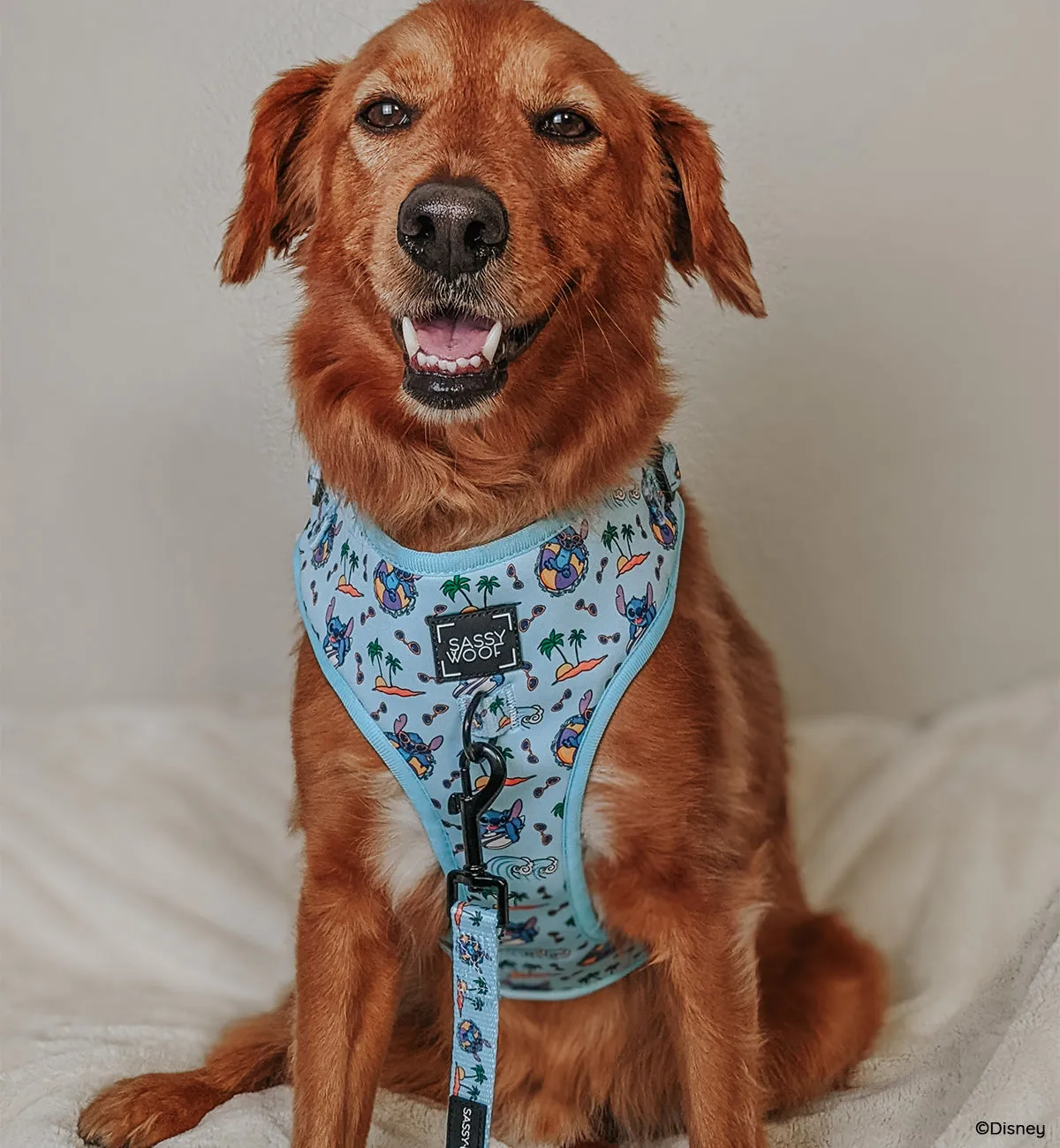 Dog Two Piece Bundle -  Disney's Stitch