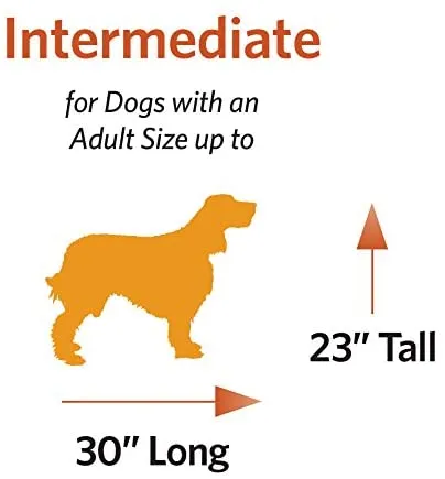 Double Door Folding Metal Dog Crate - Life Stages - Divider Panel, Floor Protecting Feet, Leak-Proof Dog Tray