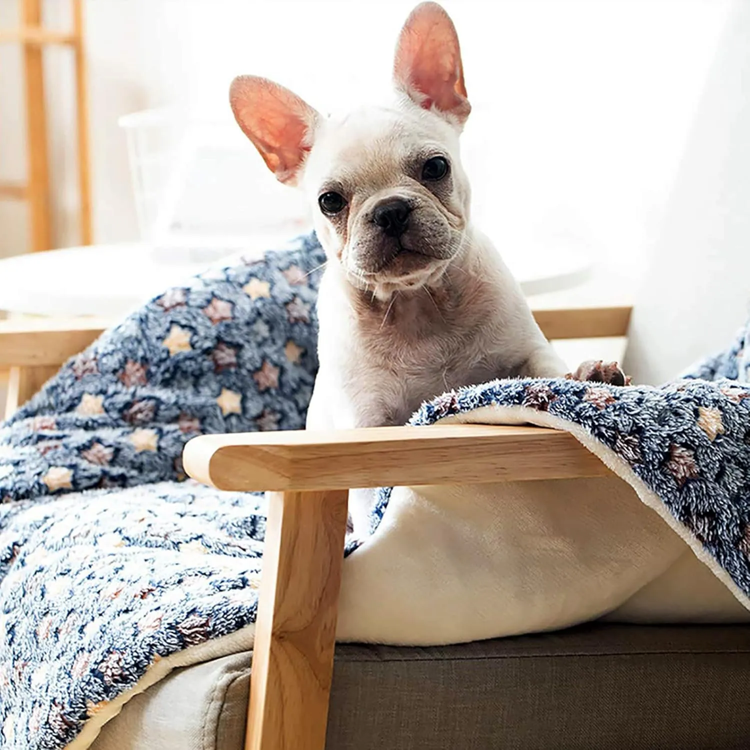 FJWYSANGU Pet Blanket Premium Fluffy Flannel Cushion Soft and Warm Mat for Dogs Cats Medium Size Animal Blue Stars