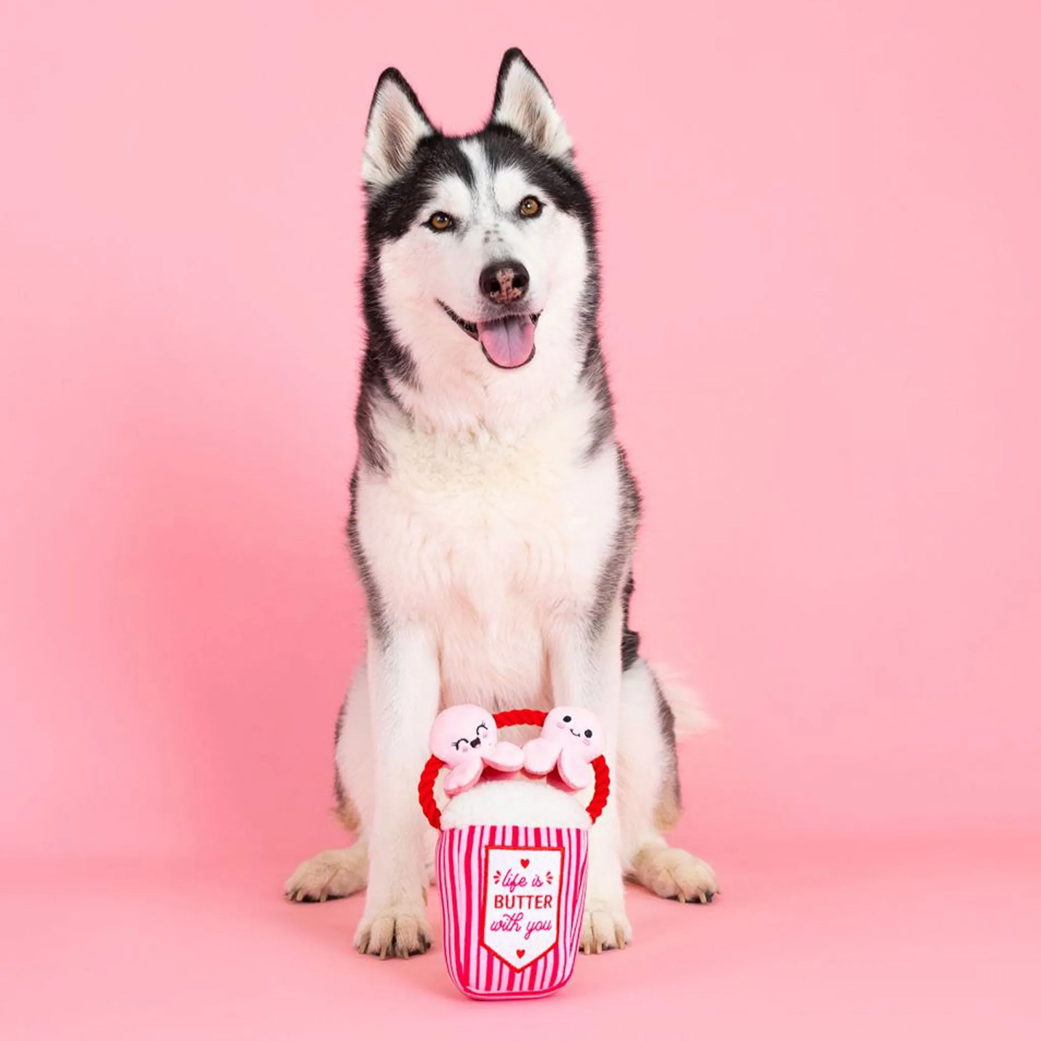 Fringe My Heart Pops for You Dog Toys