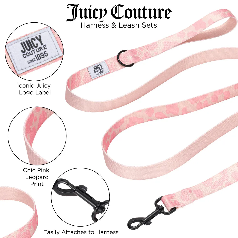 Harness & Leash Set
