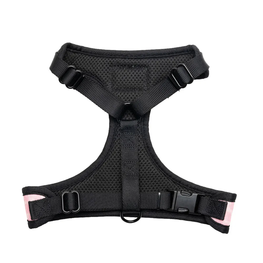 Harness & Leash Set