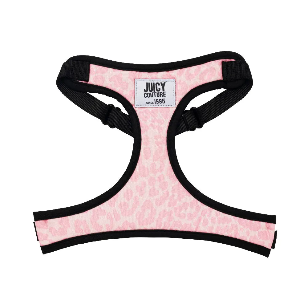 Harness & Leash Set