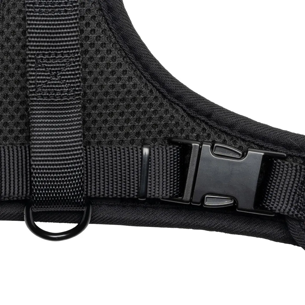 Harness & Leash Set