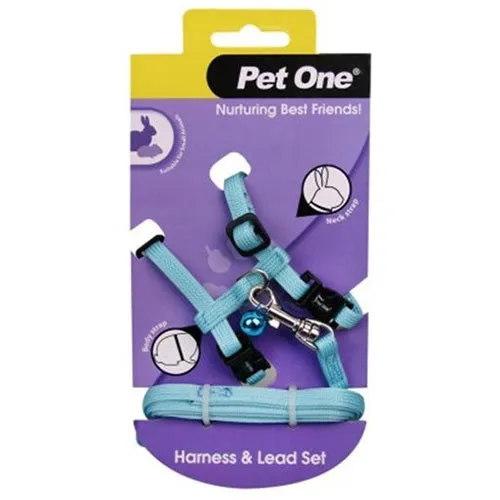 Harness Rabbit Aqua