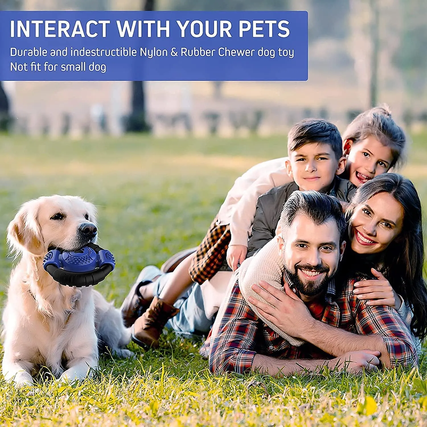 Interactive Squeaky Dog Chew Toy