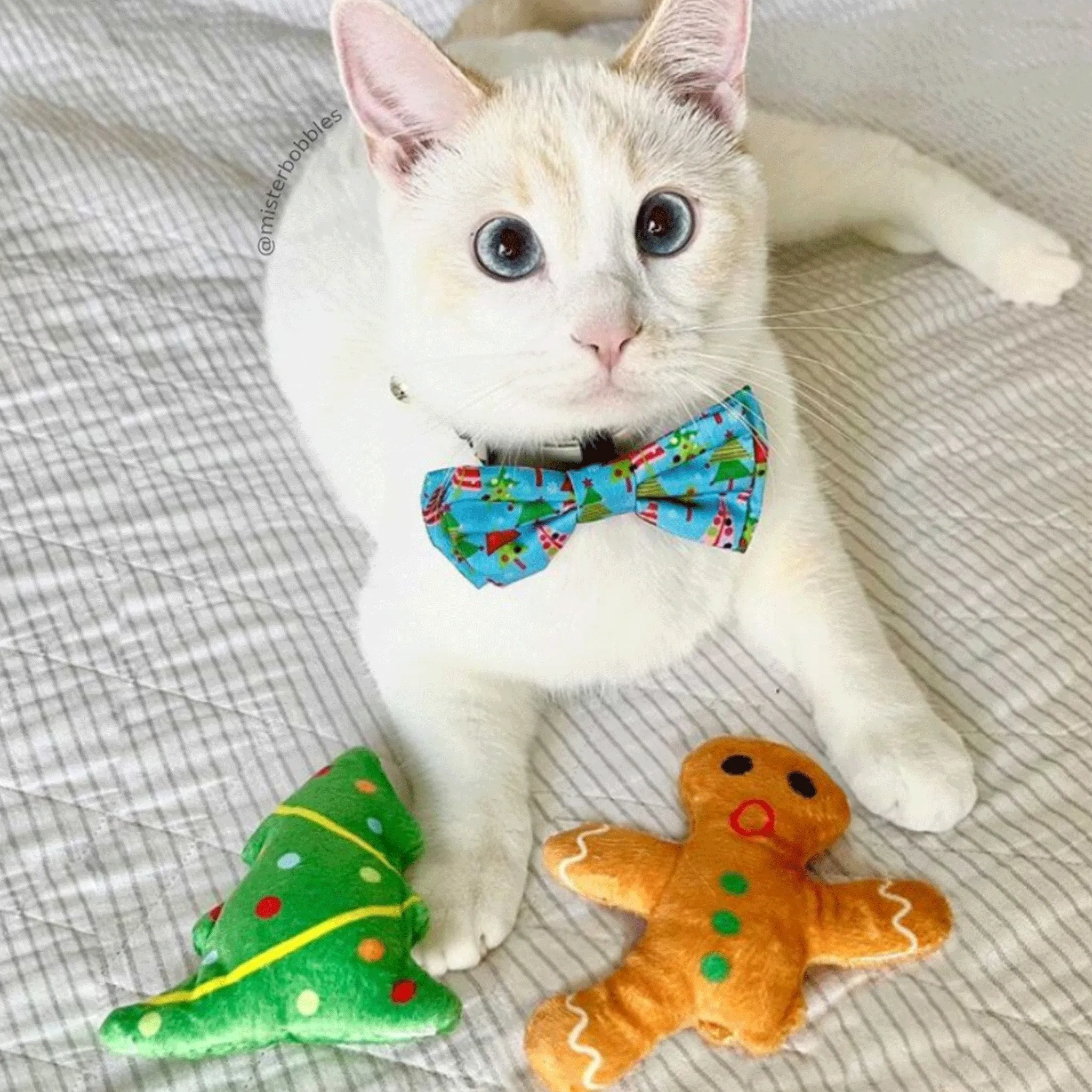 Kittybelles Oh Snap! Cat Toy