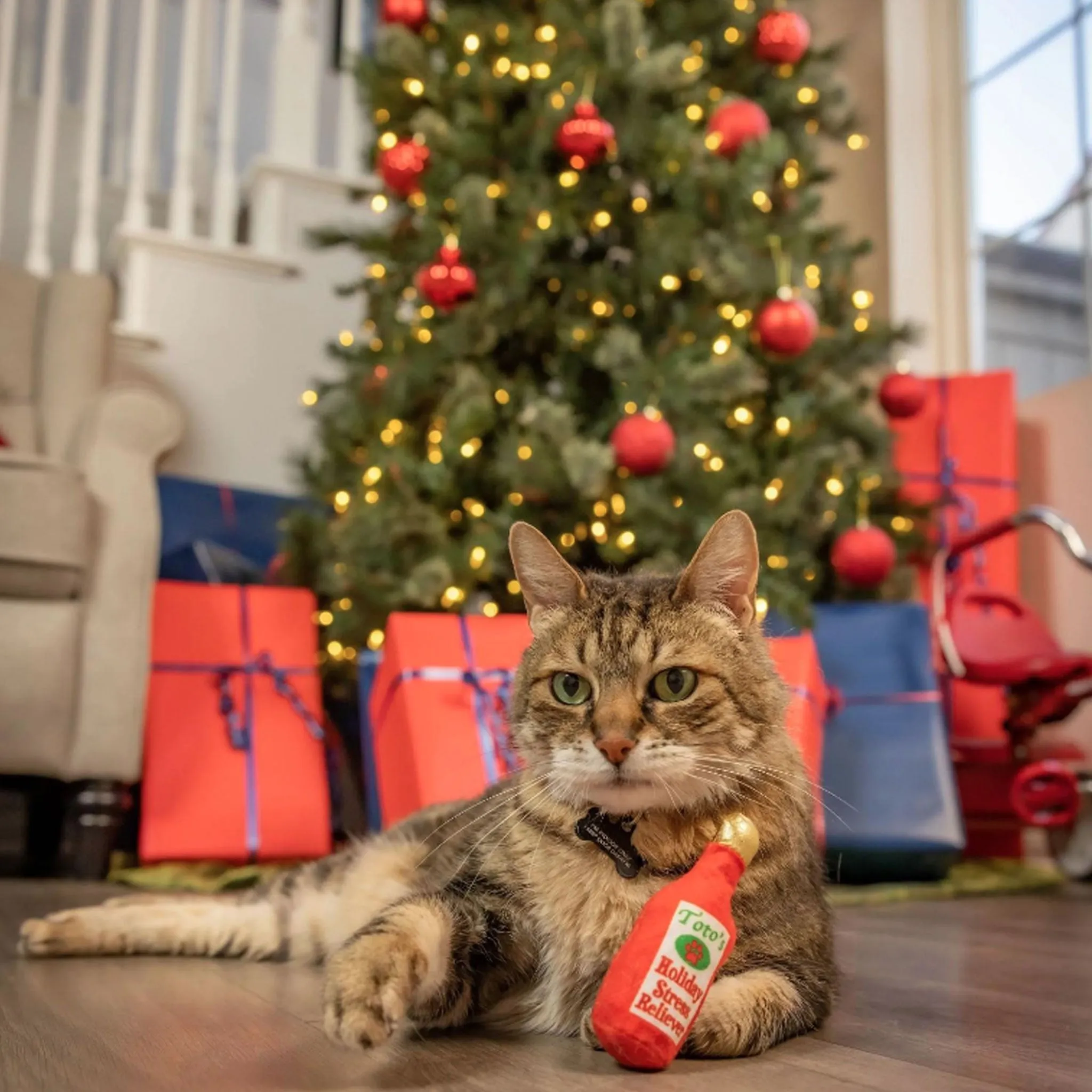 Kittybelles Toto's Holiday Stress Reliever Cat Toy