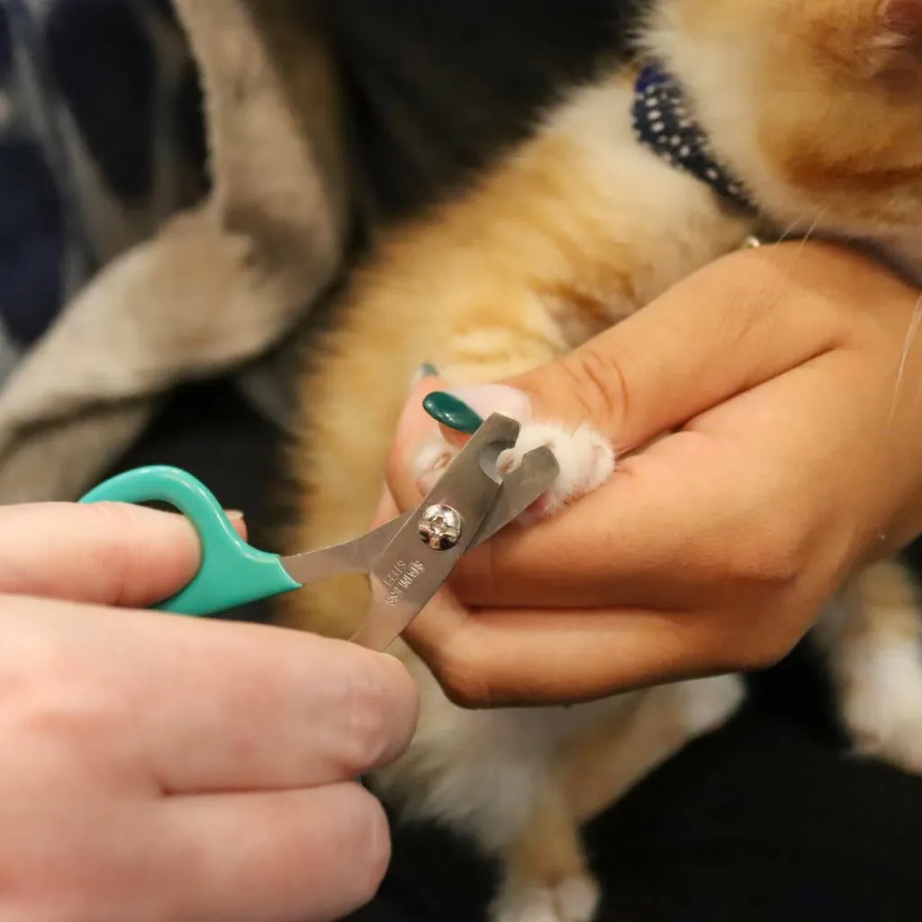 Li'l Pals Nail Trimmer For Kittens