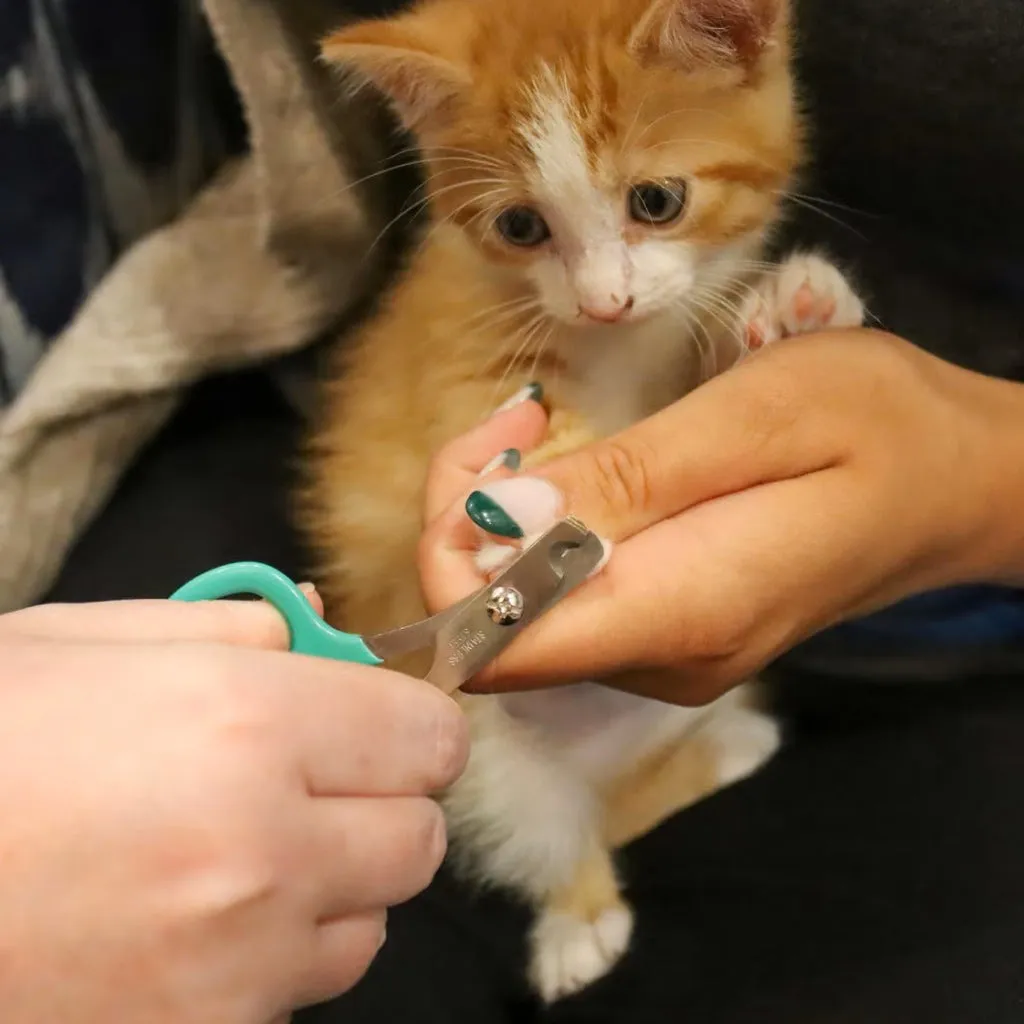 Li'l Pals Nail Trimmer For Kittens
