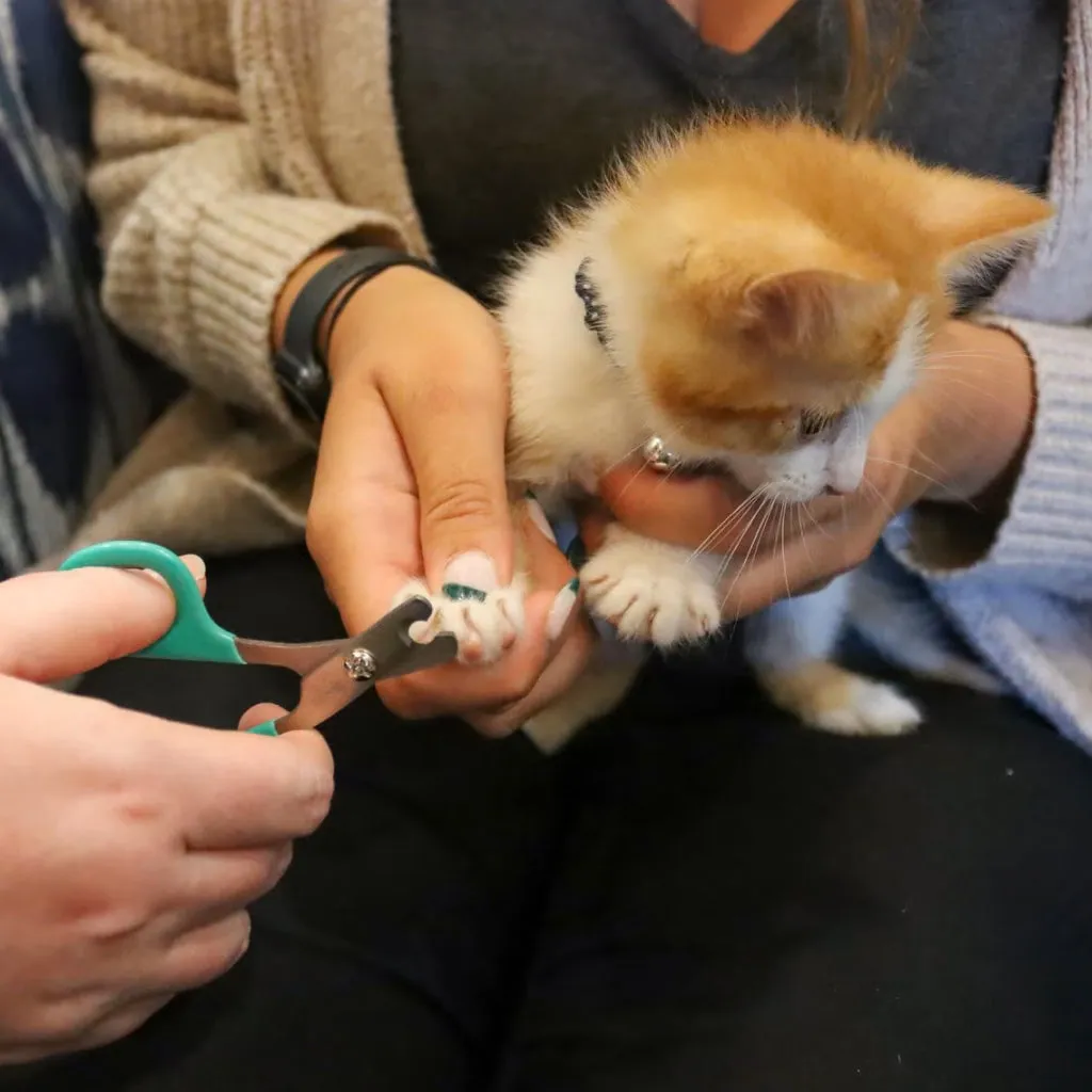 Li'l Pals Nail Trimmer For Kittens