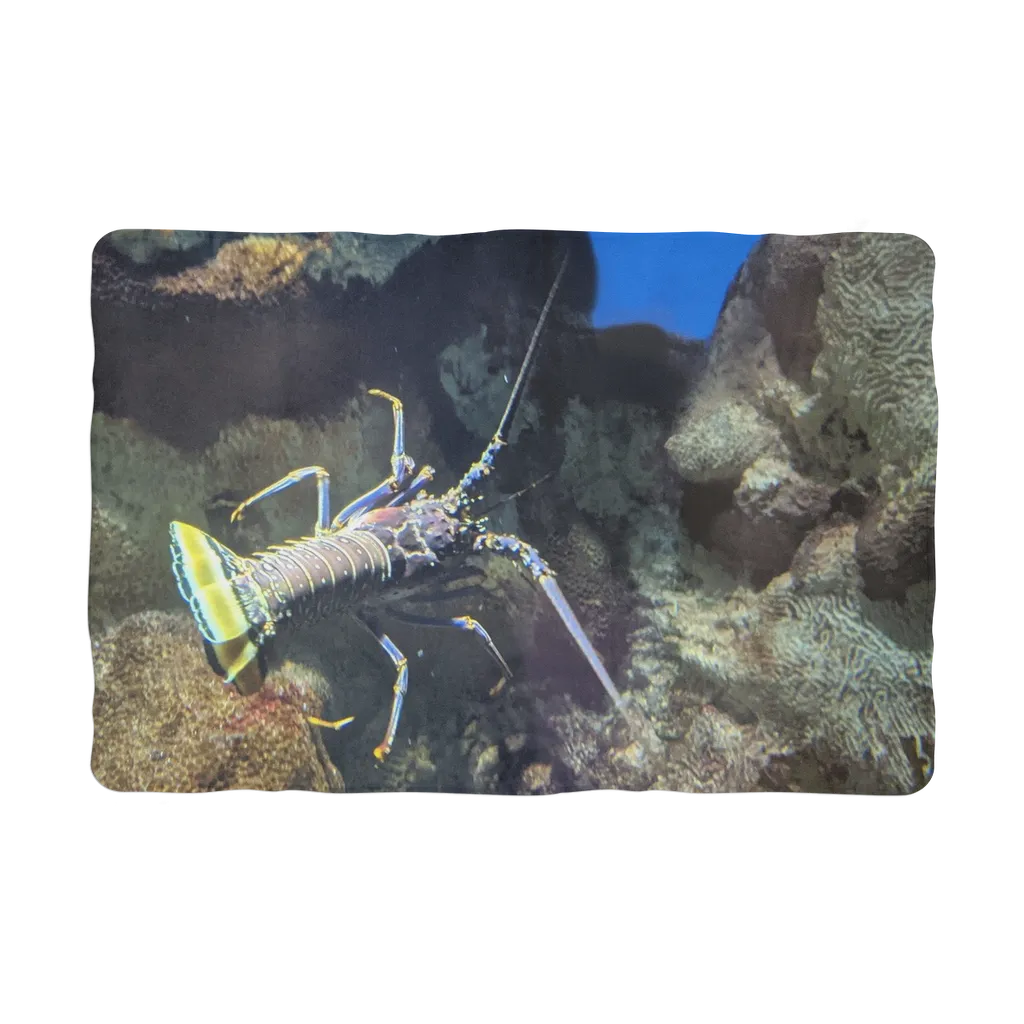 Lobster Sublimation Pet Blanket