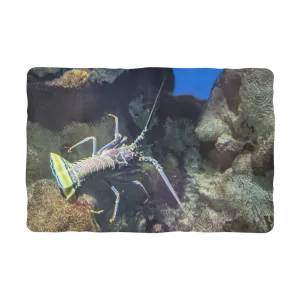 Lobster Sublimation Pet Blanket
