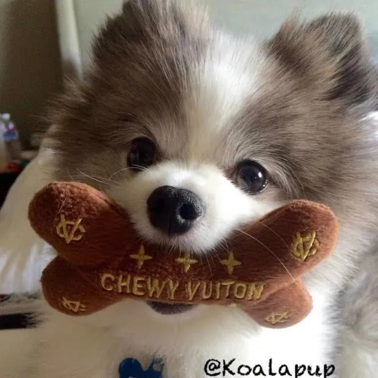 Luxury Dog Chew Toy