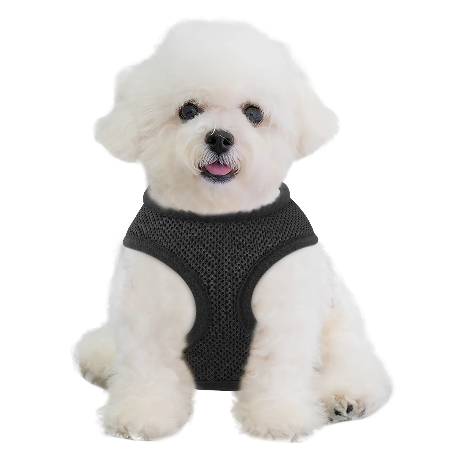 Mesh Dog Harness