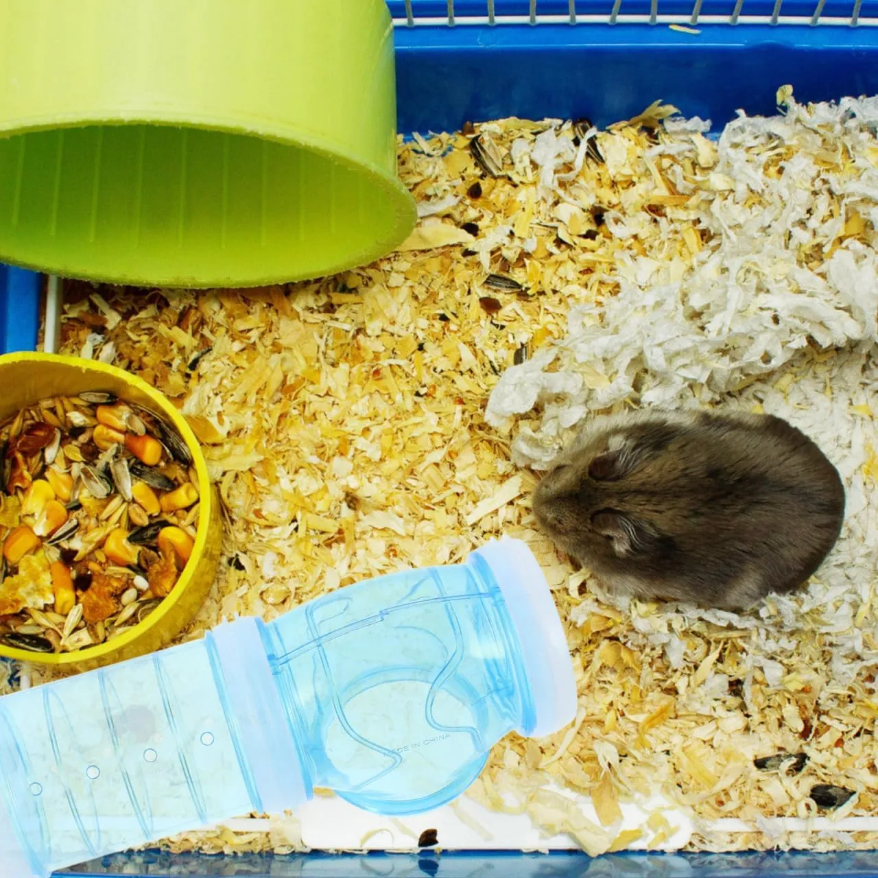 NOLITOY Hamster Tube Set, Transparent Curved Pipe Pet Cage Tunnel DIY Connection Tunnel Excercise Toy for Mouse Hamster Rat and Other Small Animals