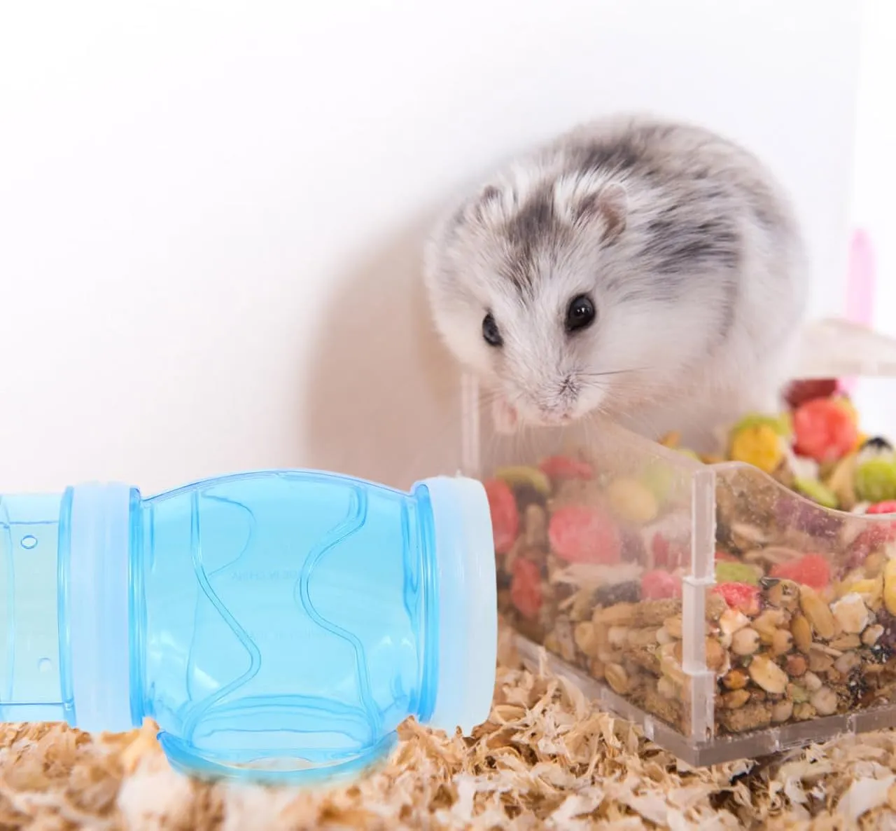 NOLITOY Hamster Tube Set, Transparent Curved Pipe Pet Cage Tunnel DIY Connection Tunnel Excercise Toy for Mouse Hamster Rat and Other Small Animals