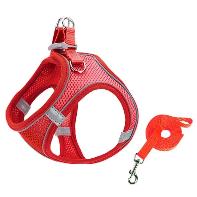 Pat and Pet Emporium | Pet Harnesses | Small Pet Harness Sets