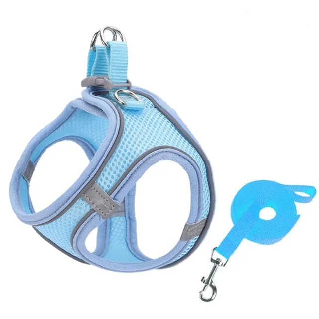 Pat and Pet Emporium | Pet Harnesses | Small Pet Harness Sets