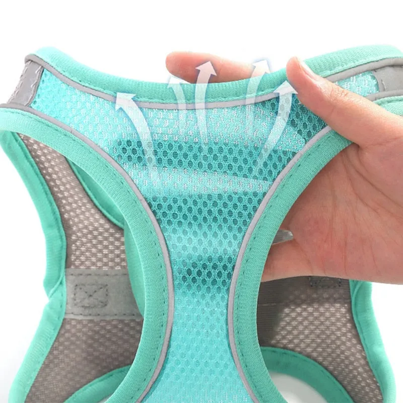 Pat and Pet Emporium | Pet Harnesses | Small Pet Harness Sets