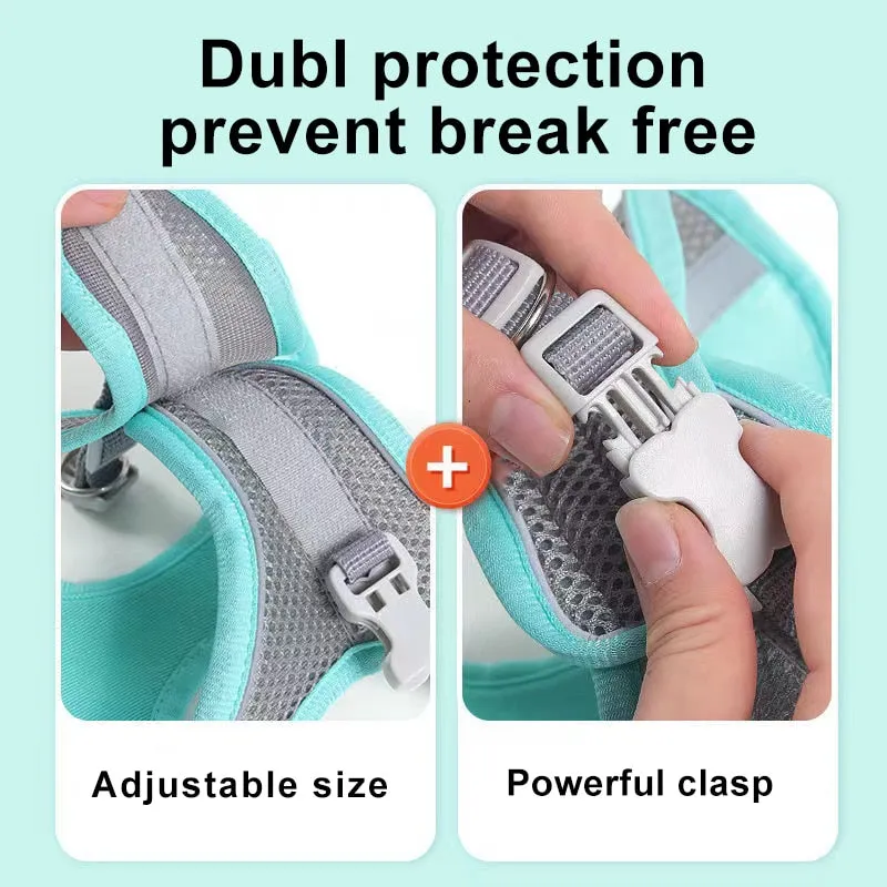 Pat and Pet Emporium | Pet Harnesses | Small Pet Harness Sets