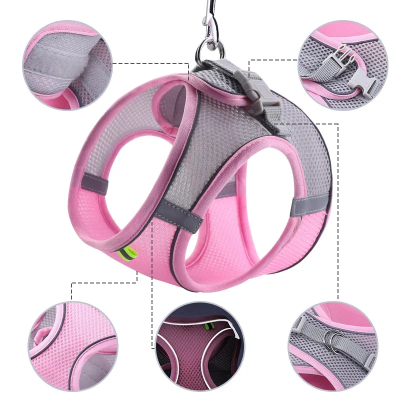 Pat and Pet Emporium | Pet Harnesses | Small Pet Harness Sets