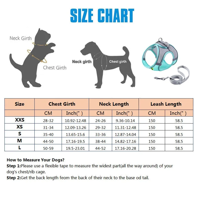 Pat and Pet Emporium | Pet Harnesses | Small Pet Harness Sets