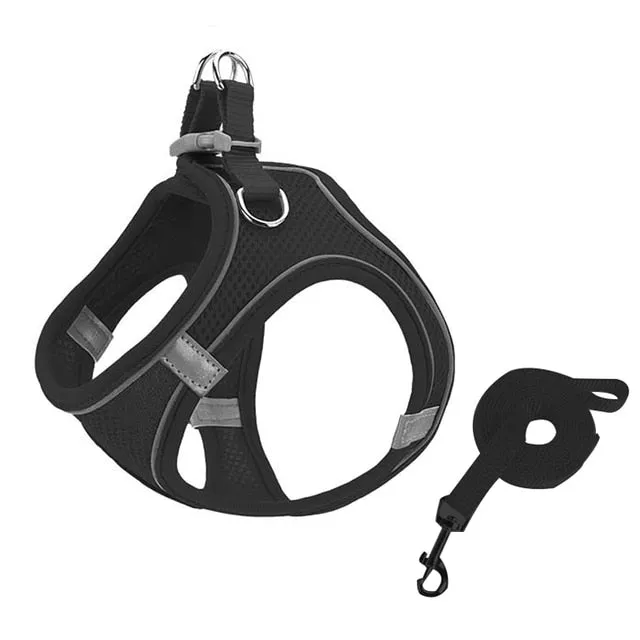Pat and Pet Emporium | Pet Harnesses | Small Pet Harness Sets