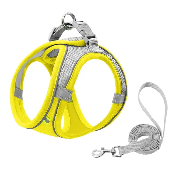 Pat and Pet Emporium | Pet Harnesses | Small Pet Harness Sets