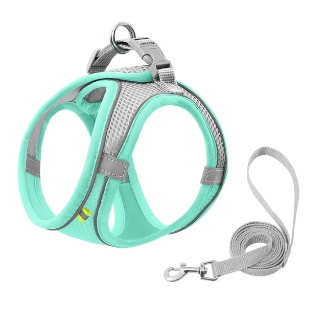 Pat and Pet Emporium | Pet Harnesses | Small Pet Harness Sets