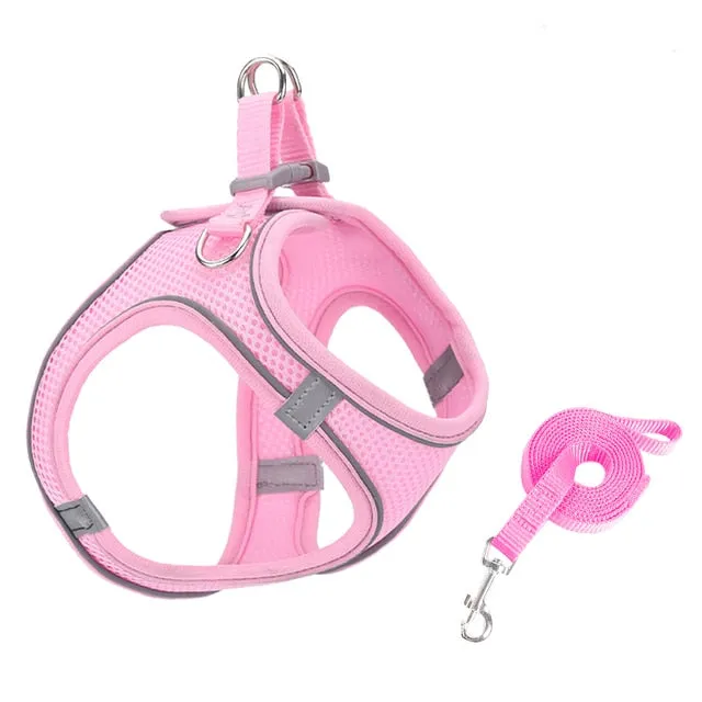 Pat and Pet Emporium | Pet Harnesses | Small Pet Harness Sets