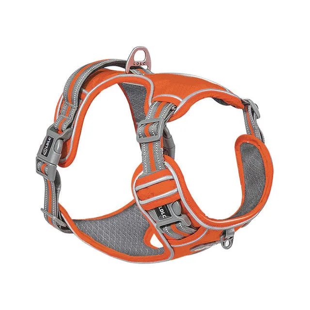 Pat and Pet Emporium | Pet Harnesses | Sturdy Dog Harness