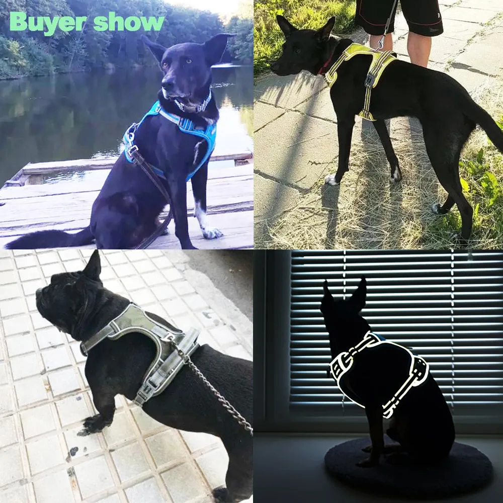 Pat and Pet Emporium | Pet Harnesses | Sturdy Dog Harness