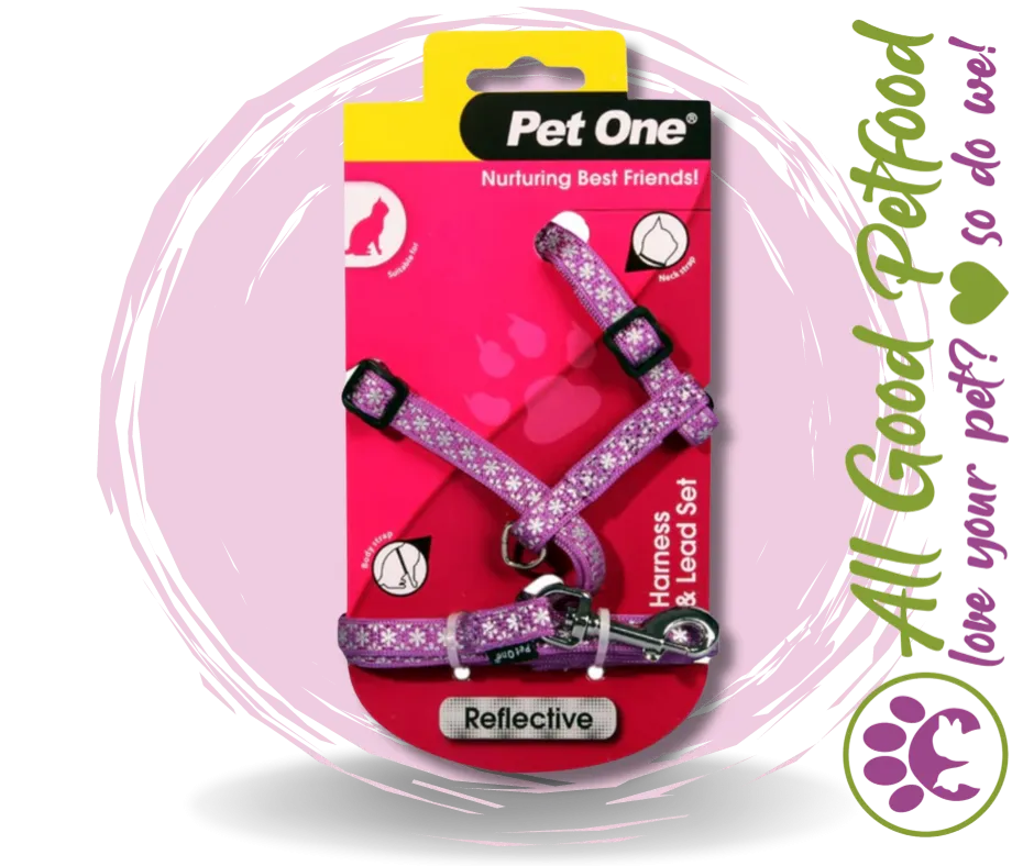 Pet One Harness & Lead Set - Cat/Kitten Reflective