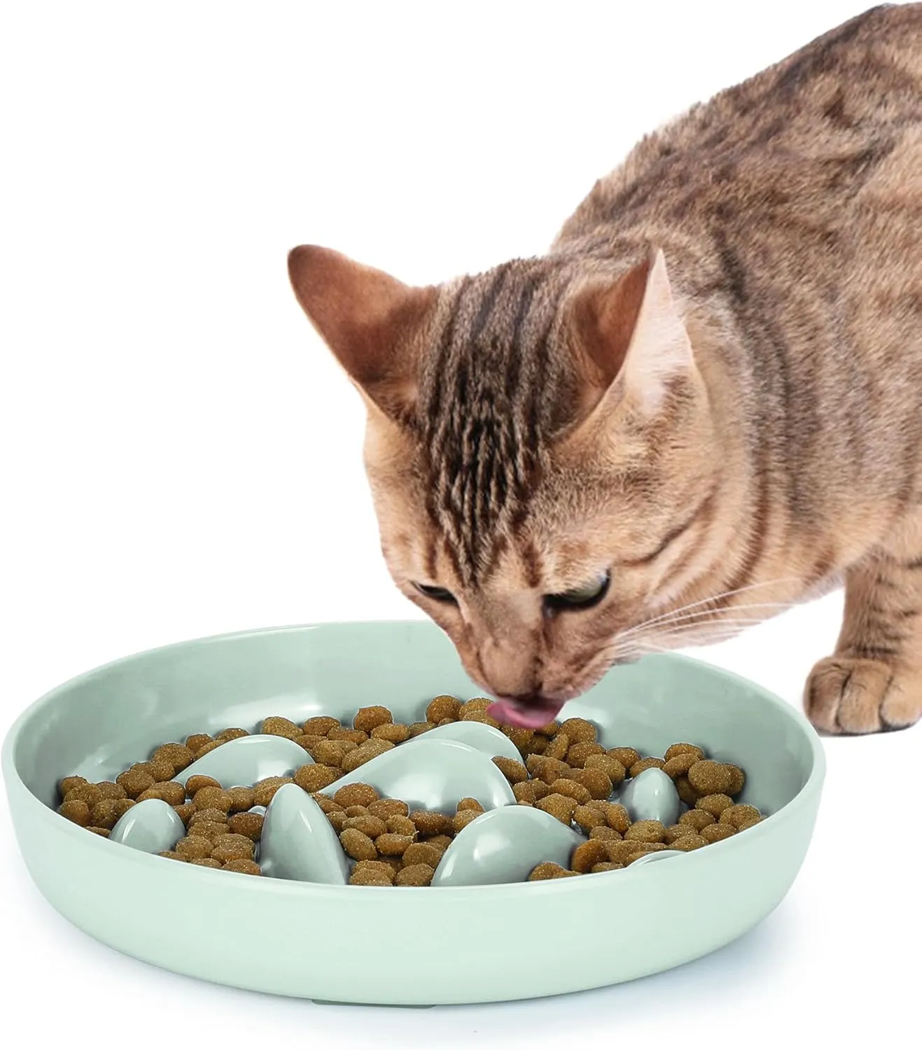 PETTOM Cat Slow Feeder - Fun Puzzle Feeder, Anti Vomiting, No-Spill, Interactive, Anti Gulping, Dog Bowl for Puppy & Kitten