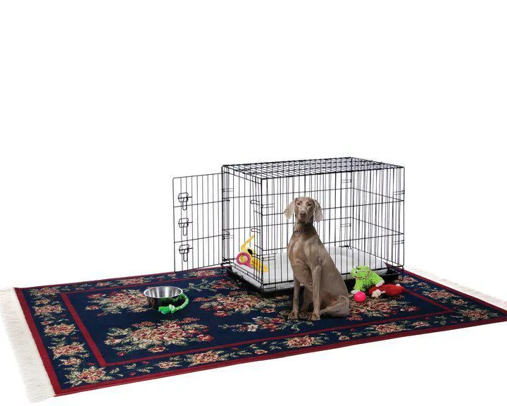Portable Wire Dog Crate - Prevue Hendryx Home On The Go Dog Crate