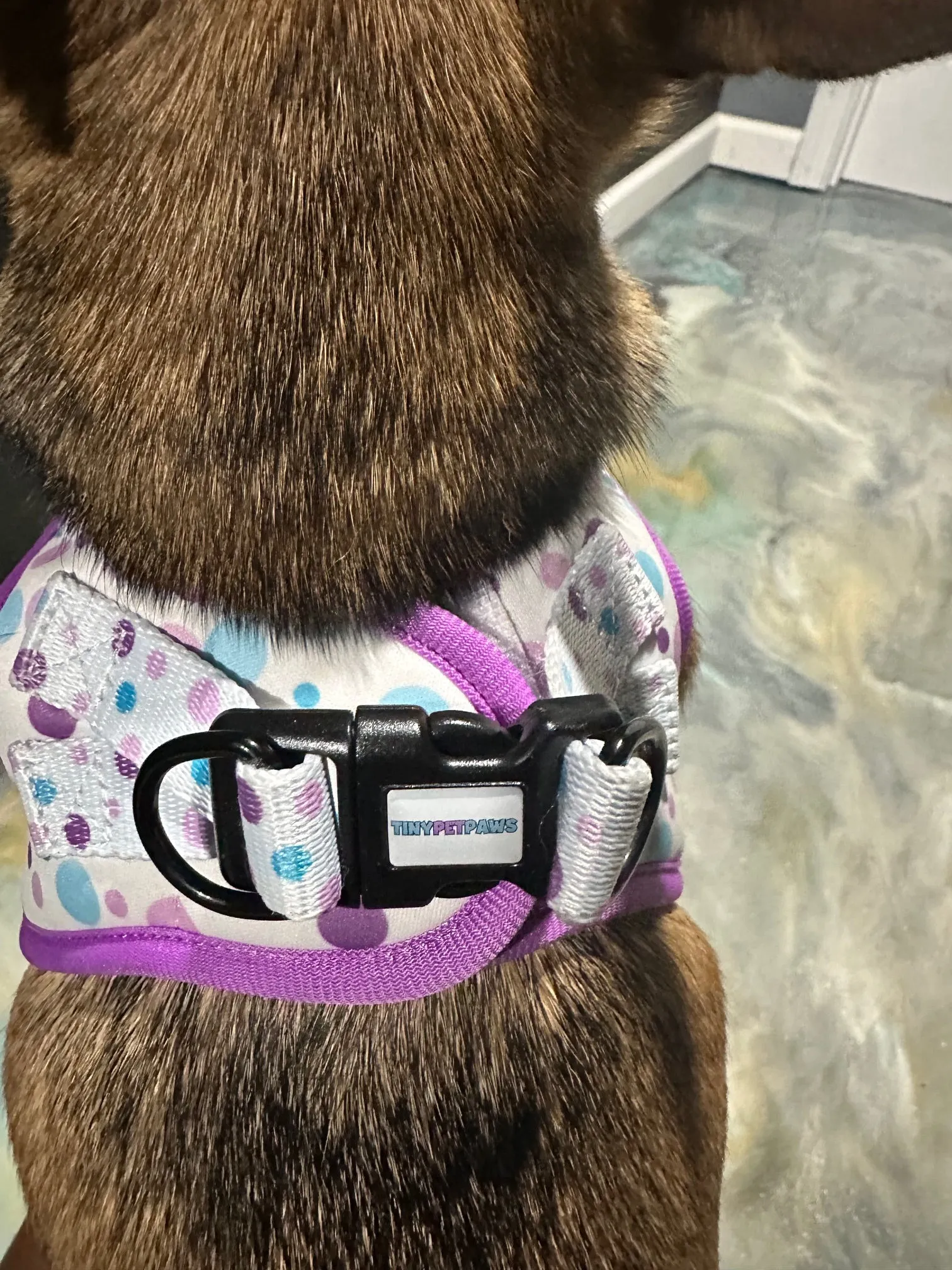 Purple Harness Set