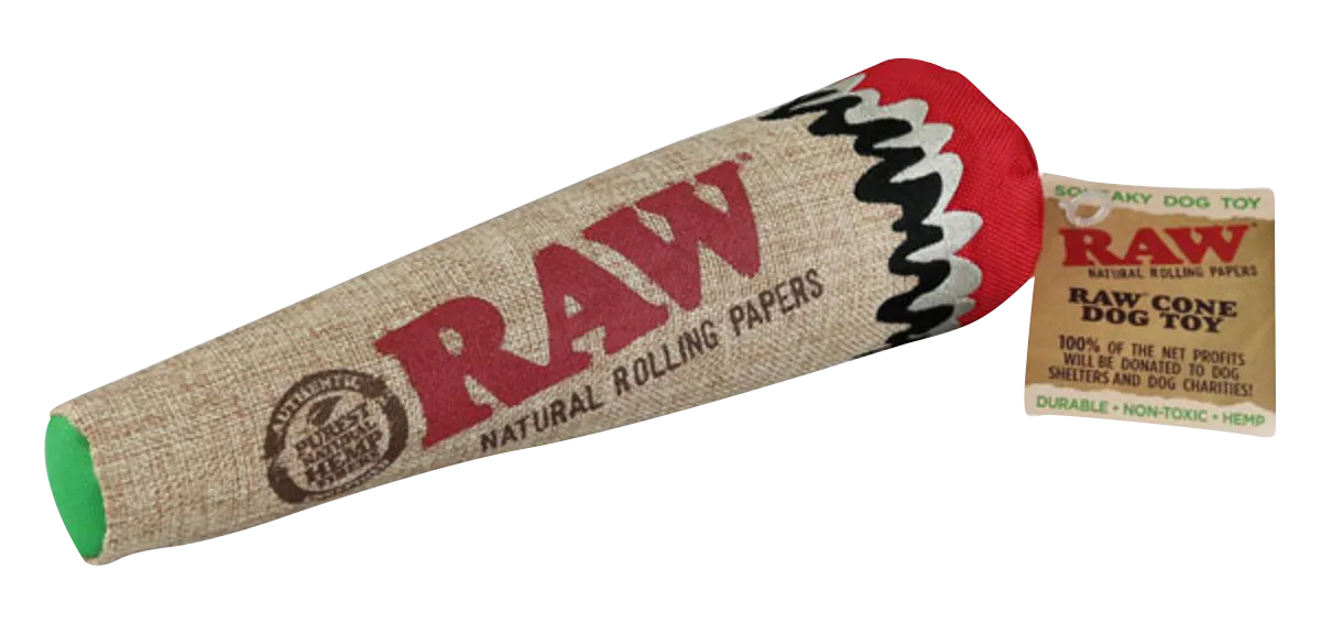 RAW Cone Dog Chew Toy